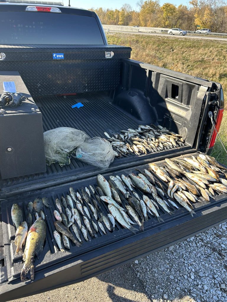 Indiana wildlife officials arrest four men for illegal fishing in Morgan County